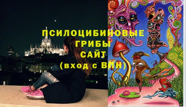 первитин Алексин